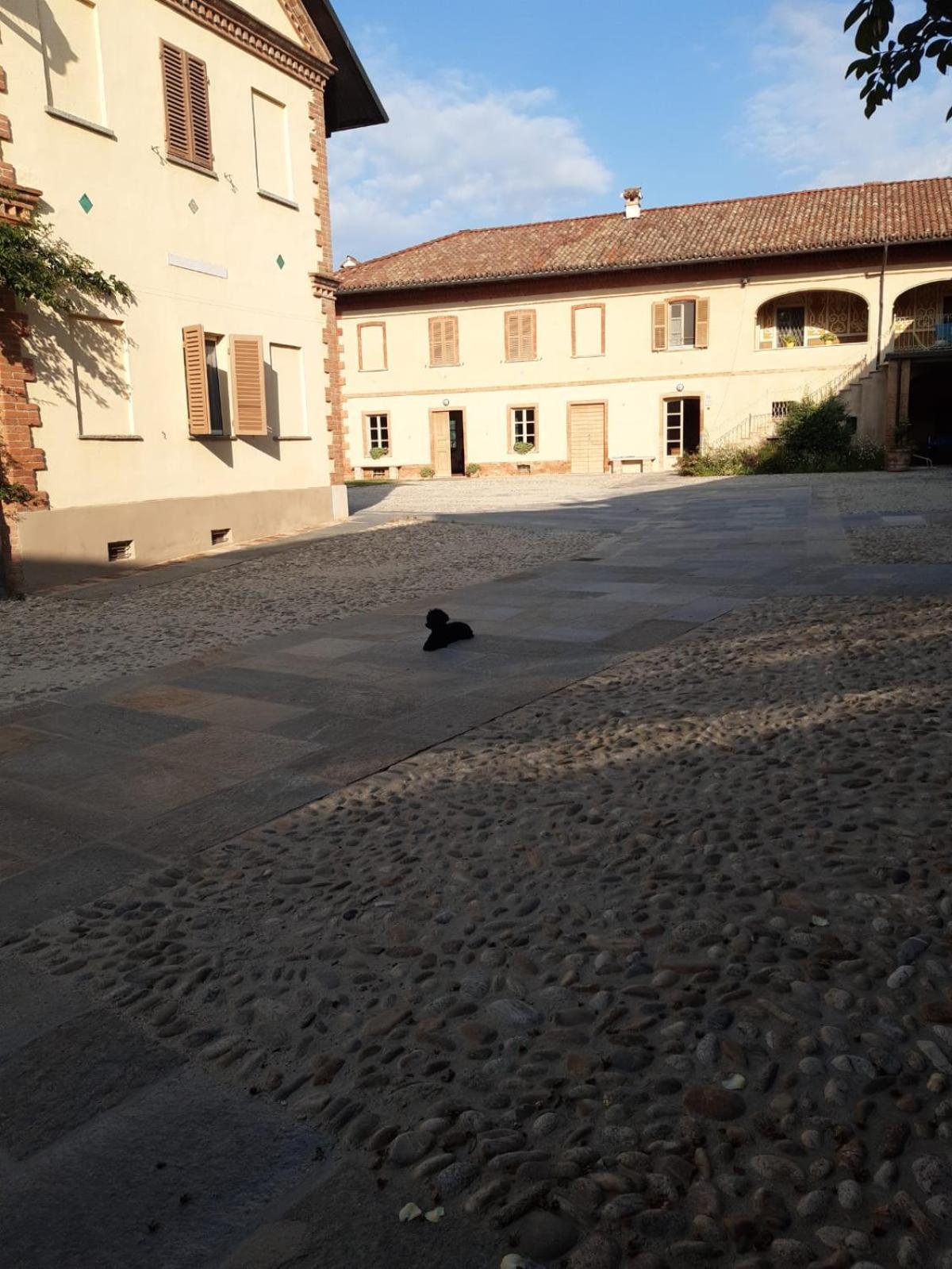 Tenuta Montanello B&B Castiglione Falletto Zewnętrze zdjęcie