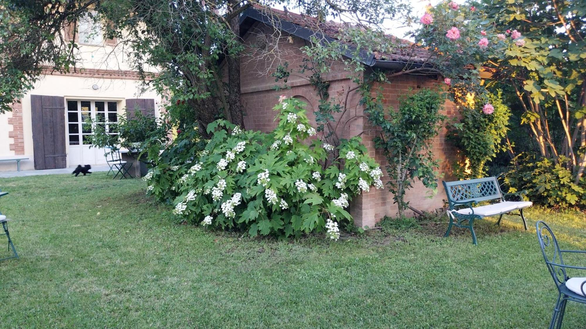 Tenuta Montanello B&B Castiglione Falletto Zewnętrze zdjęcie
