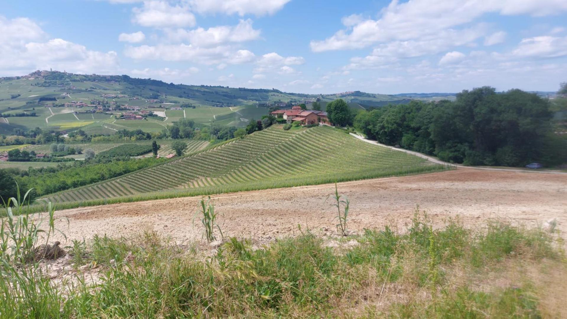 Tenuta Montanello B&B Castiglione Falletto Zewnętrze zdjęcie