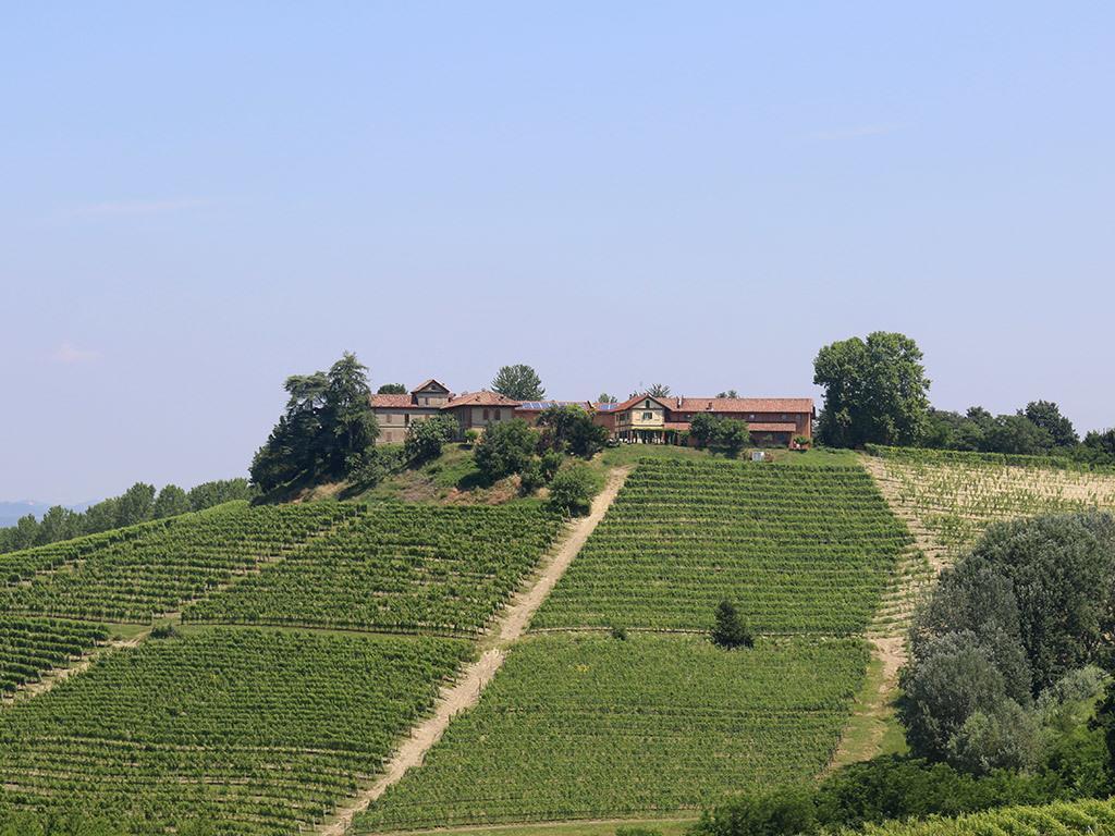 Tenuta Montanello B&B Castiglione Falletto Zewnętrze zdjęcie