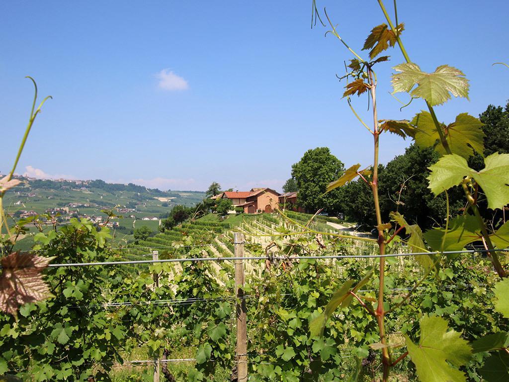 Tenuta Montanello B&B Castiglione Falletto Zewnętrze zdjęcie